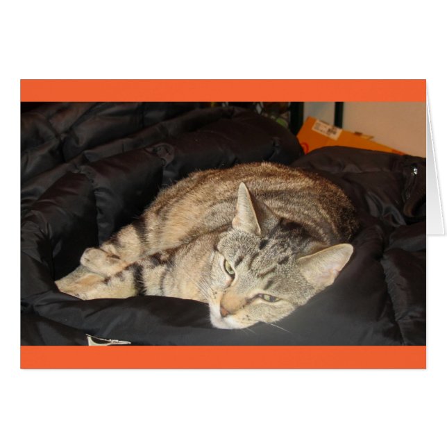 Växeltid för indigo hälsningskort (Framsidan Horizontal)