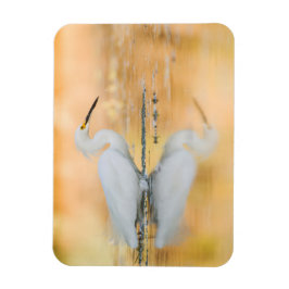 Växla när Sol är inställt Magnet