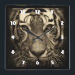 Växla tigern Ansikte i Sepia Tones Fyrkantig Klocka<br><div class="desc">En vacker bild av en växande tigers ansikte i sömntoner.</div>