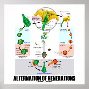 Växling av Generation (blommans livscykel) Poster