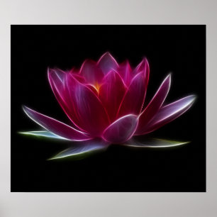 Växt för lotusblommablommavatten poster