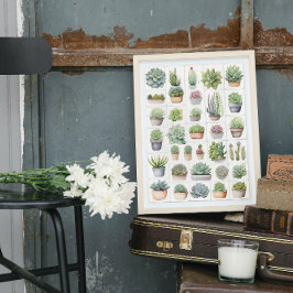 Växt-, grönsaker- och mjuka illustrationer av mode poster