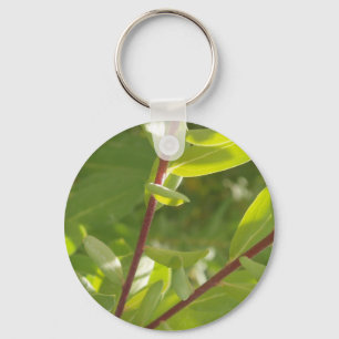 Växt Keychain Nyckelring