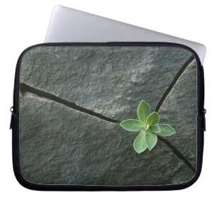 Växt som växer i knäckt stenblock laptop sleeve