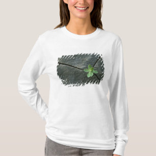 Växt som växer i knäckt stenblock t-shirt