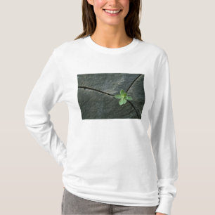 Växt som växer i knäckt stenblock t-shirt