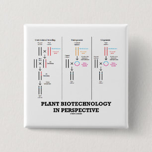 Växtbioteknik i perspektiv (Transgenesis) Knapp
