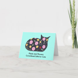 Växtblommor Säkra för Anpassningsbar av katter Kort