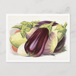 Växtbotanisk illustration vykort