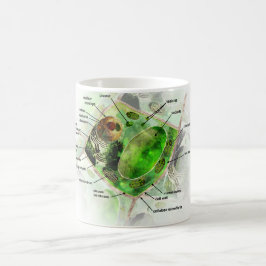 växtcell kaffemugg