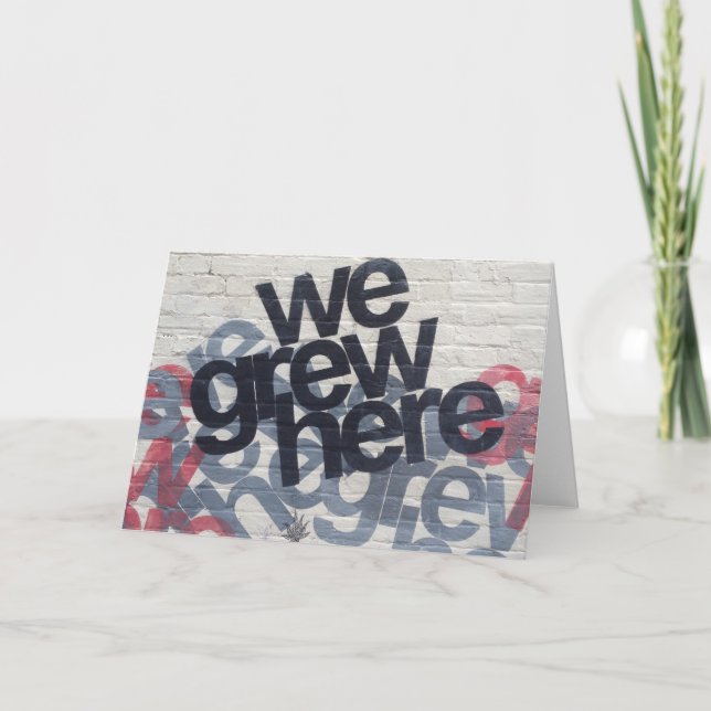 växte här kort (Framsida)