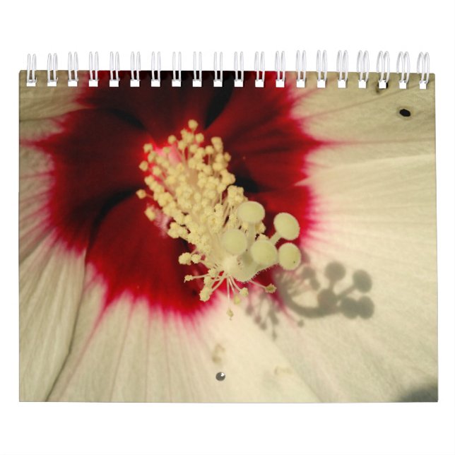 Växter Botaniskt foto-kalender Kalender (Omslag)