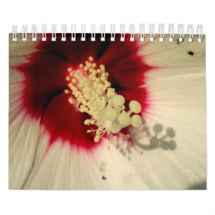 Växter Botaniskt foto-kalender Kalender