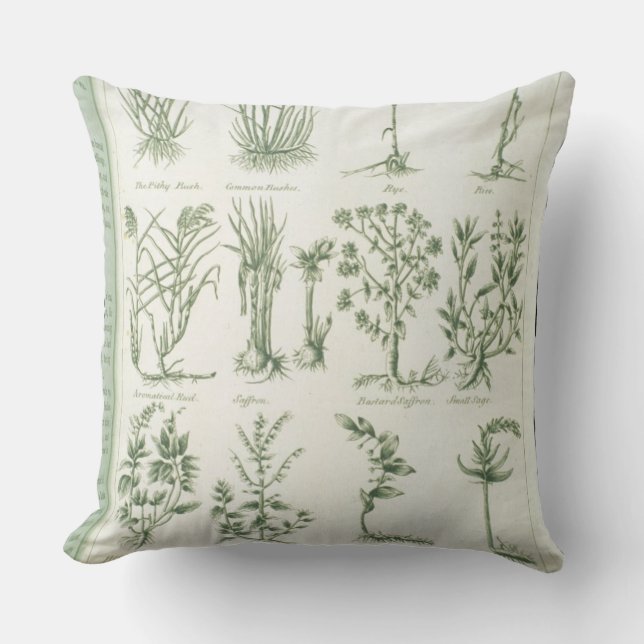 Växter från Culpepers 'engelska läkare och komp Kudde (Framsida)