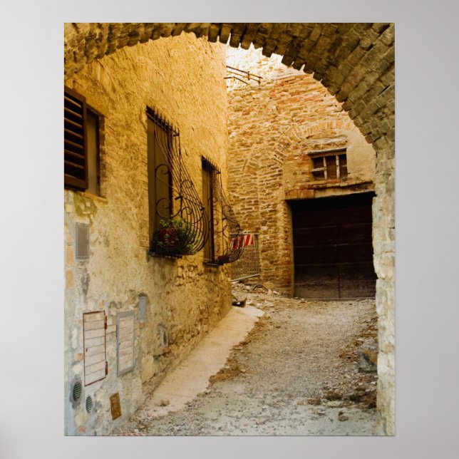 Växter i fönsterkarmar, San Gimignano, Siena Poster (Framsidan)