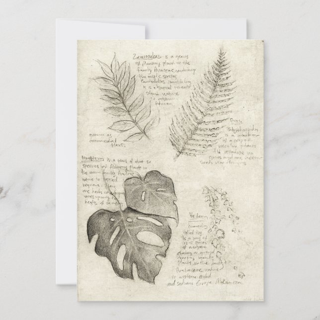 Växter Inbjudningar (Framsida)