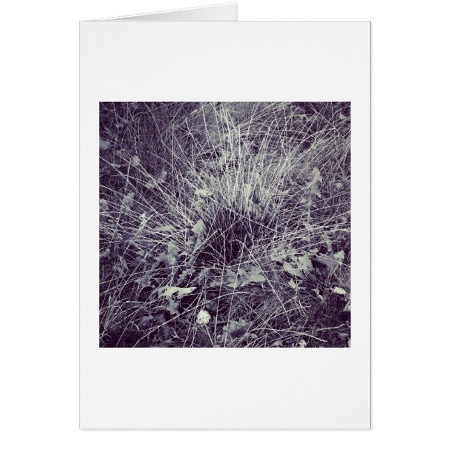 Växter och gräs hälsningskort (Framsidan)