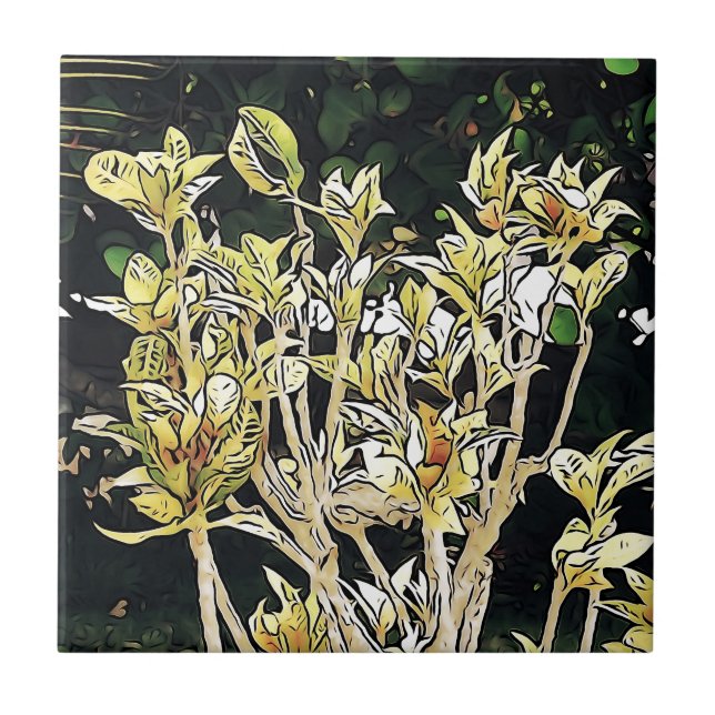 Växter på Kuba Kakelplatta (Framsidan)