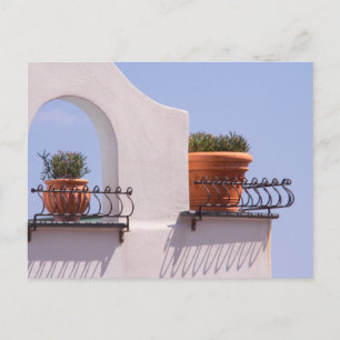 Växter som hänger ut i Positano Italien vykort