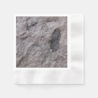 Växtfossil 350 miljoner år gammalt tryckt på cockt pappersservett