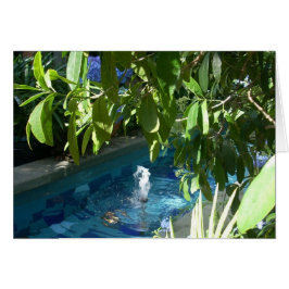 Växthusblommor fem hälsningskort