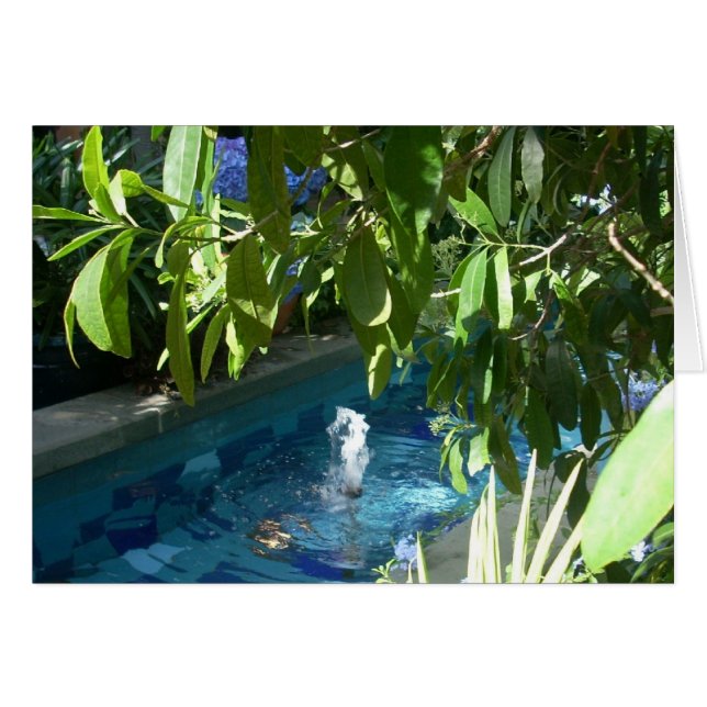 Växthusblommor fem hälsningskort (Framsidan Horizontal)