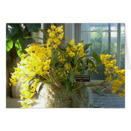 Växthusblommor två hälsningskort