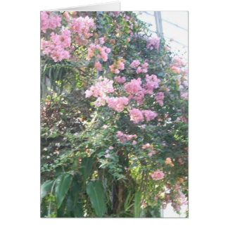 Växthuset blommar åtta hälsningskort