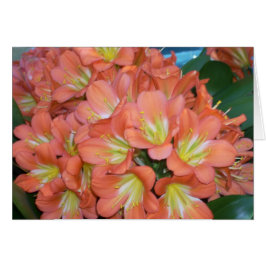 Växthuset blommar en hälsningskort