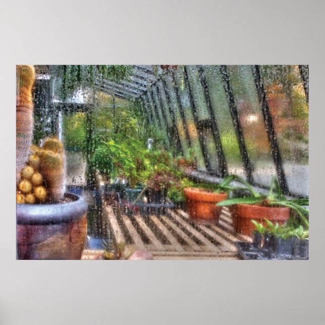 Växthuset - i ett växthusfönster poster (Framsidan)