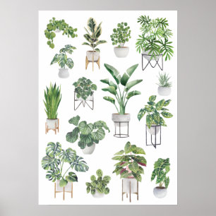 Växtsamling 5 poster