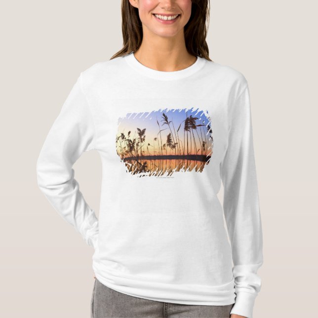 VäxtSilhouette vid Lakesidesolnedgång Tee Shirt (Framsida)