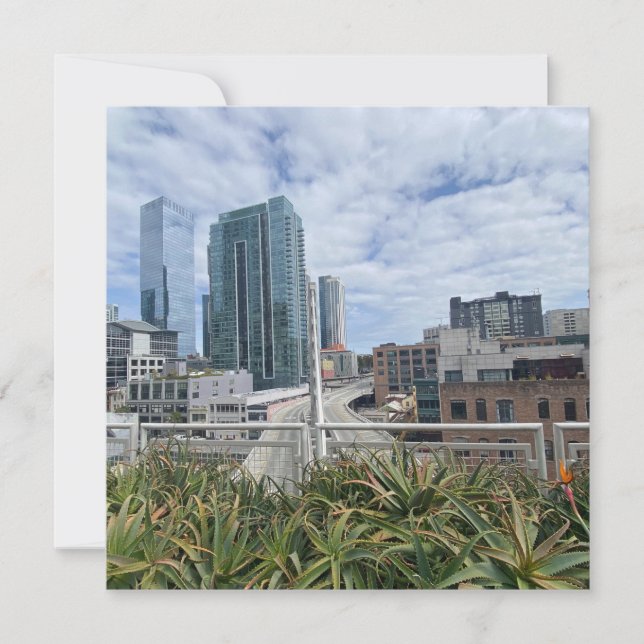 VÄXTSKIDIGHET: San Francisco Meddelande (Framsida)