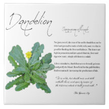 Växtskydd: Dandelion | Keramiska plattor