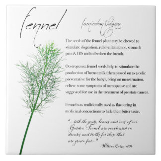 Växtskydd: Fennel | Keramiska plattor Kakelplatta