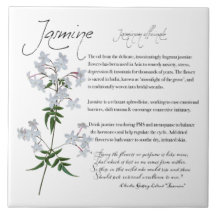 Växtskydd: Jasmine | Blommor, keramiska plattor