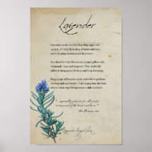 Växtskydd: Lavender | Botanisk Poster