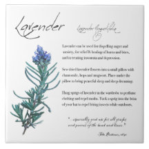Växtskydd: Lavender | Keramiska plattor
