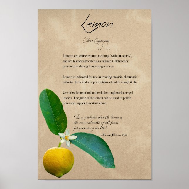 Växtskydd: Lemon | Botanisk Poster (Framsidan)