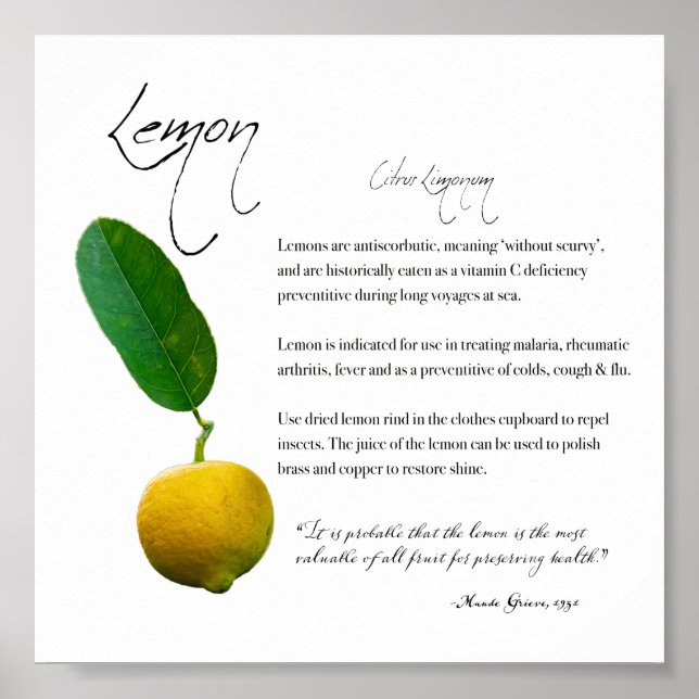 Växtskydd: Lemon | Papper värdePoster Poster (Framsidan)
