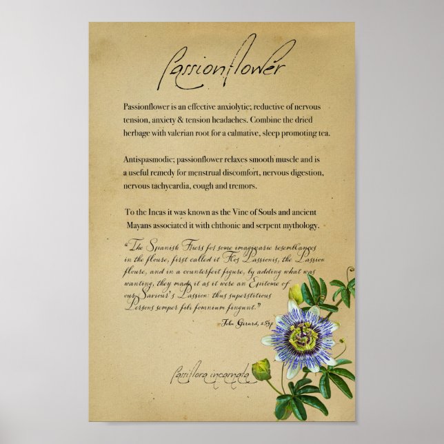 Växtskydd: Passionblomma | Botaniskt Poste Poster (Framsidan)
