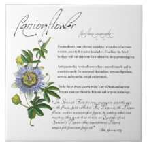 Växtskydd: Passionblomma | Keramiska plattor