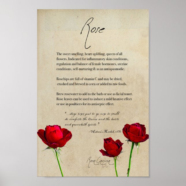 Växtskydd: Ro | Botanisk Poster (Framsidan)