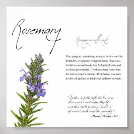 Växtskydd: Rosemary | Botanisk Poster