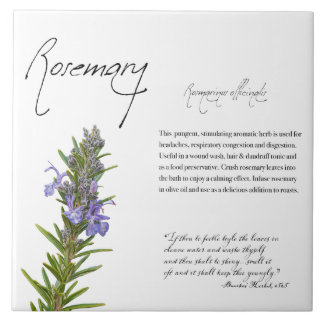 Växtskydd: Rosemary | Botaniskt plattstål Kakelplatta
