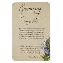 Växtskydd: Rosemary | Magnet