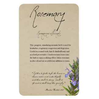 Växtskydd: Rosemary | Magnet