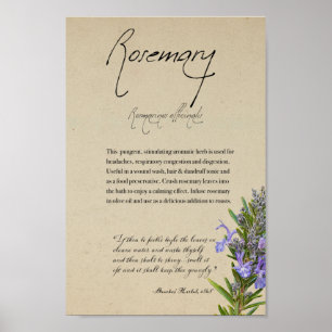 Växtskydd: Rosemary Poster totalt