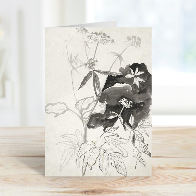 Växtstudie | Carel Adolph Cachet Kort (Skapare uppladdad)