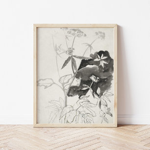 Växtstudie   Carel Adolph Cachet Poster